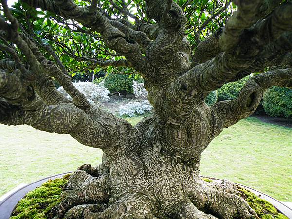 DSCF9544.JPG DSCF9544.JPG