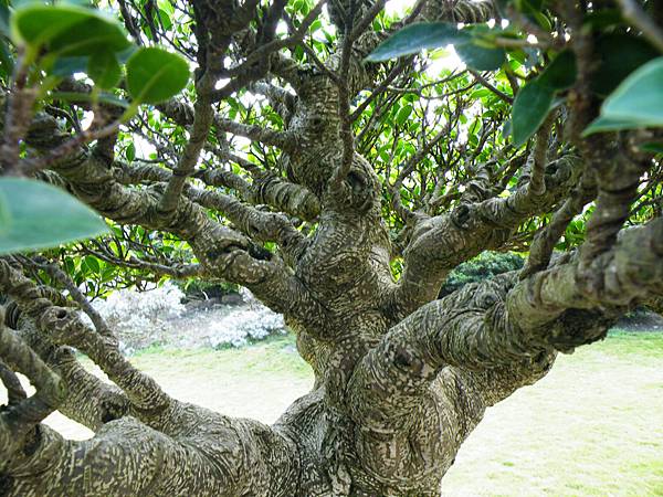 DSCF9546.JPG DSCF9546.JPG