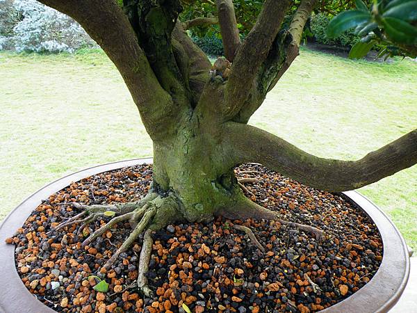 DSCF9548.JPG DSCF9548.JPG