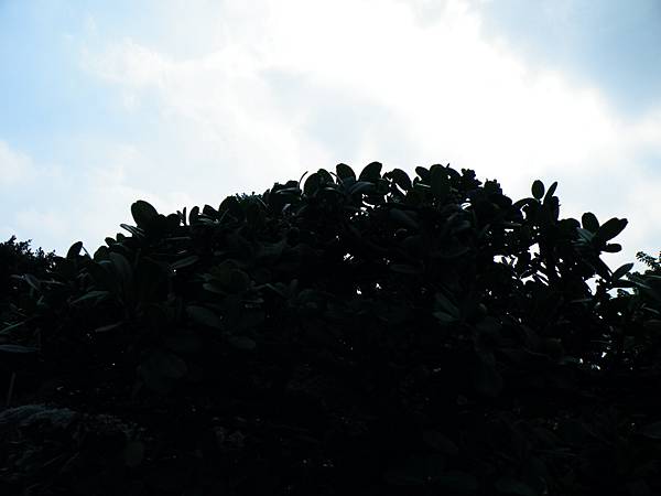 DSCF9551.JPG DSCF9551.JPG