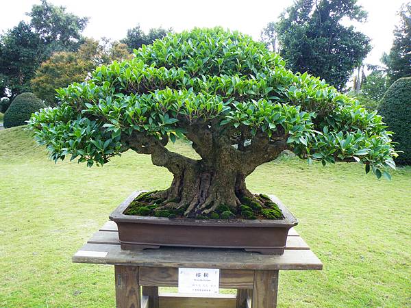 DSCF9553.JPG DSCF9553.JPG