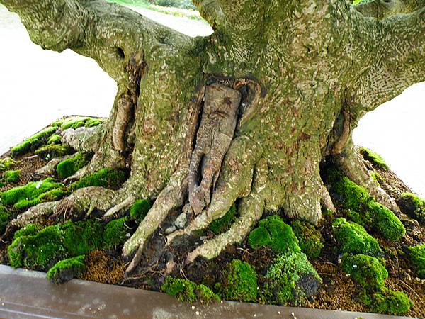 DSCF9554.JPG DSCF9554.JPG