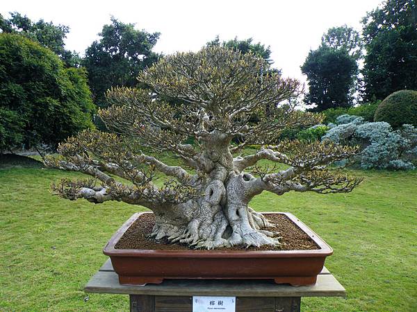 DSCF9558.JPG DSCF9558.JPG