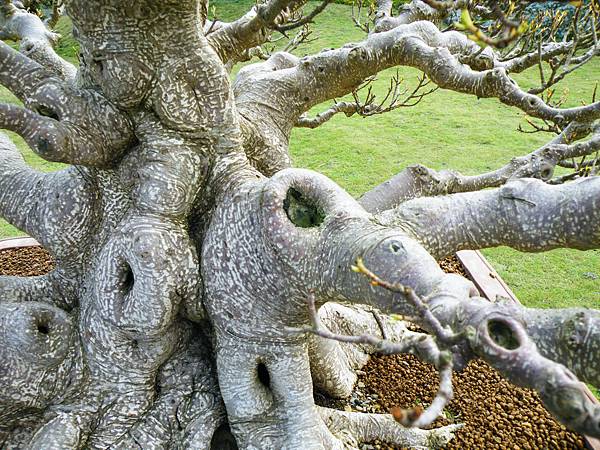 DSCF9563.JPG DSCF9563.JPG