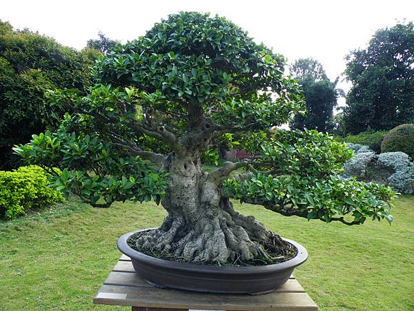 DSCF9564.JPG DSCF9564.JPG