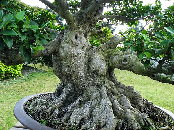 DSCF9566.JPG DSCF9566.JPG