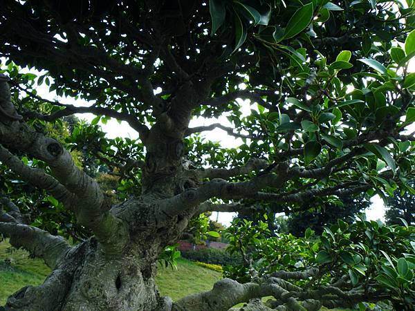 DSCF9567.JPG DSCF9567.JPG