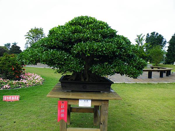 DSCF9569.JPG DSCF9569.JPG