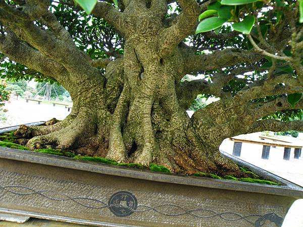 DSCF9570.JPG DSCF9570.JPG