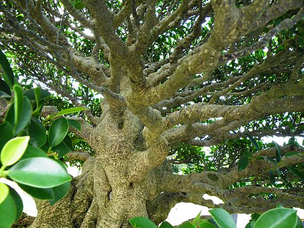 DSCF9571.JPG DSCF9571.JPG