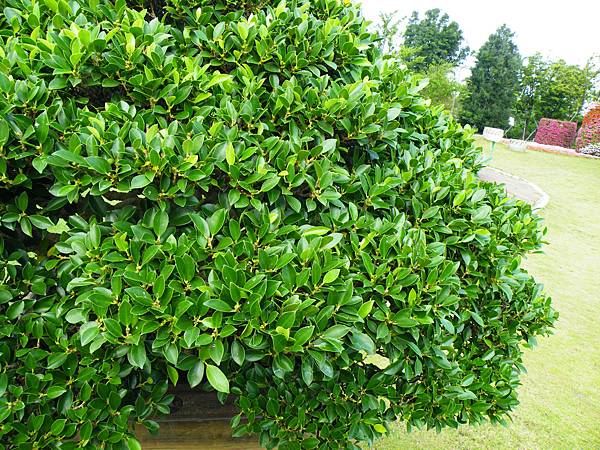 DSCF9572.JPG DSCF9572.JPG