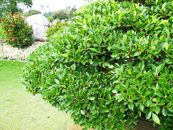 DSCF9573.JPG DSCF9573.JPG