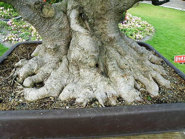 DSCF9577.JPG DSCF9577.JPG