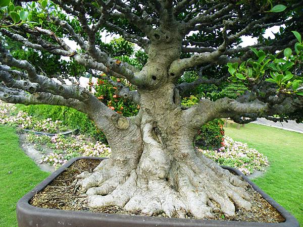 DSCF9578.JPG DSCF9578.JPG