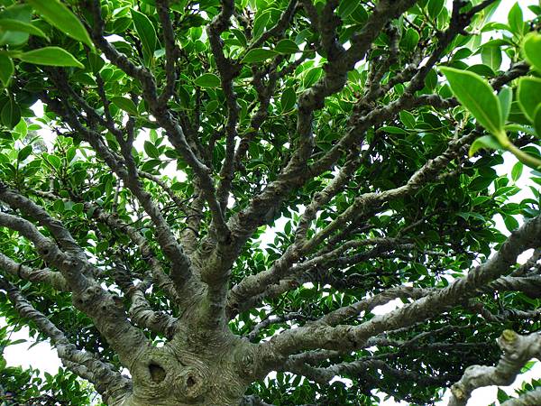 DSCF9580.JPG DSCF9580.JPG