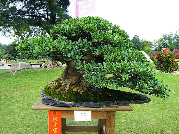 DSCF9581.JPG DSCF9581.JPG