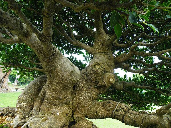 DSCF9583.JPG DSCF9583.JPG