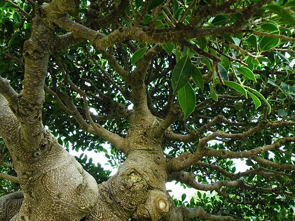 DSCF9584.JPG DSCF9584.JPG