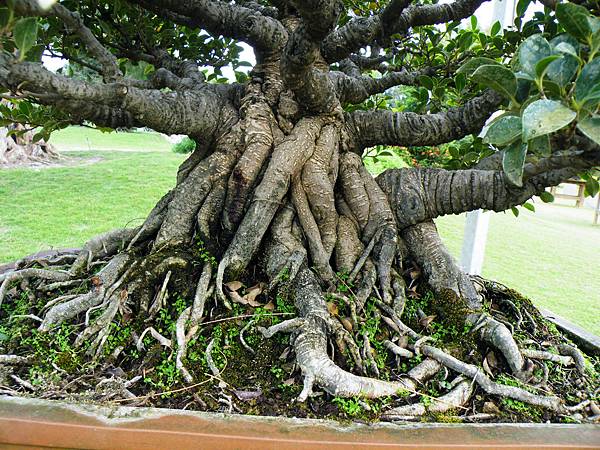 DSCF9587.JPG DSCF9587.JPG