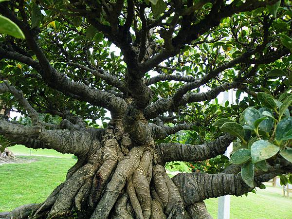 DSCF9588.JPG DSCF9588.JPG