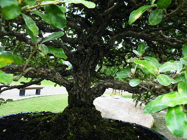 DSCF9594.JPG DSCF9594.JPG