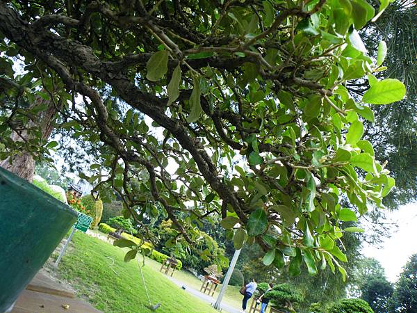 DSCF9596.JPG DSCF9596.JPG