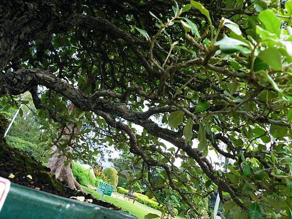 DSCF9597.JPG DSCF9597.JPG