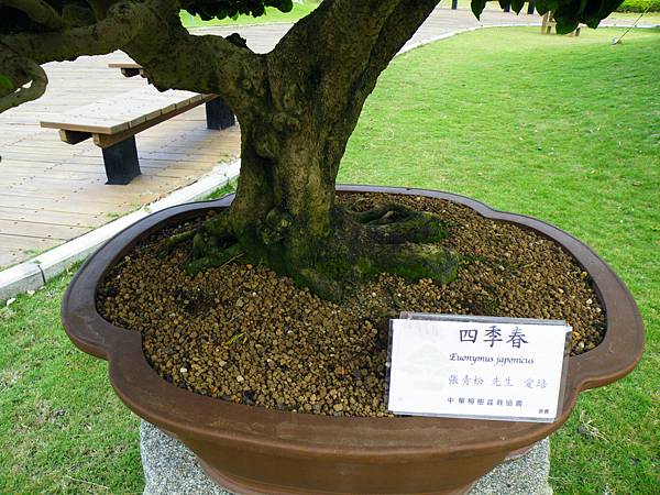 DSCF9599.JPG DSCF9599.JPG