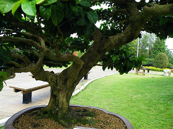 DSCF9600.JPG DSCF9600.JPG