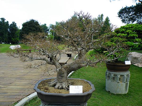 DSCF9603.JPG DSCF9603.JPG