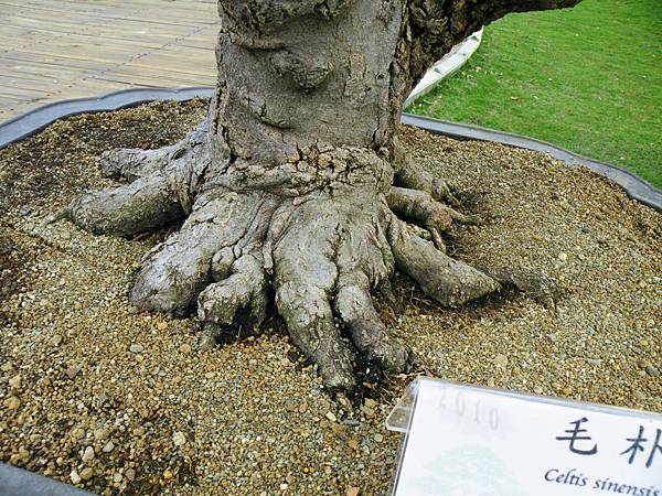 DSCF9604.JPG DSCF9604.JPG