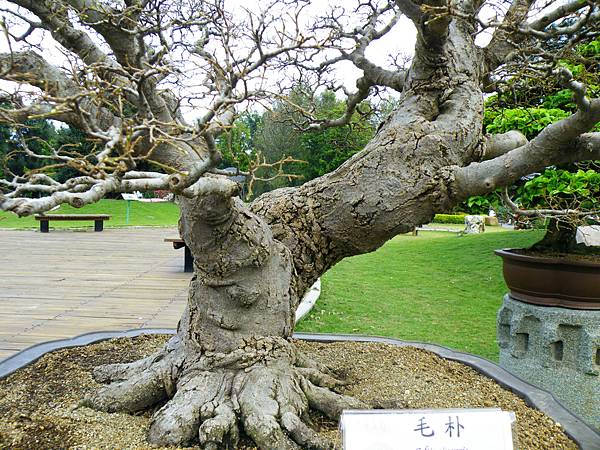 DSCF9605.JPG DSCF9605.JPG