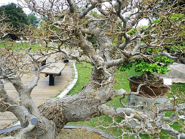 DSCF9606.JPG DSCF9606.JPG