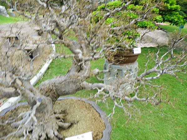 DSCF9608.JPG DSCF9608.JPG