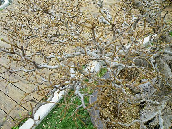 DSCF9609.JPG DSCF9609.JPG