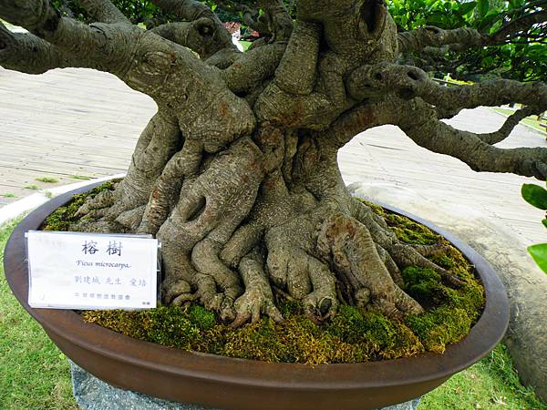 DSCF9611.JPG DSCF9611.JPG