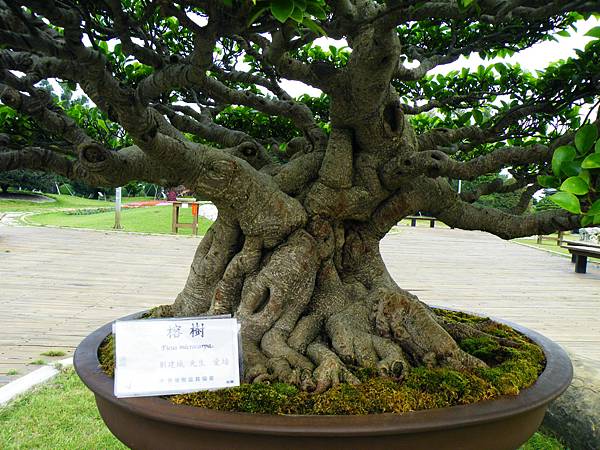 DSCF9612.JPG DSCF9612.JPG