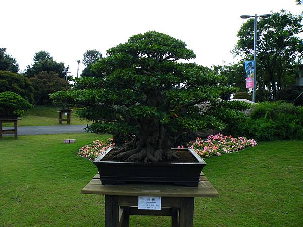 DSCF9614.JPG DSCF9614.JPG