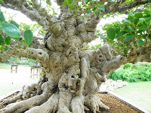 DSCF9617.JPG DSCF9617.JPG