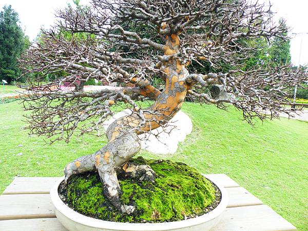 DSCF9621.JPG DSCF9621.JPG