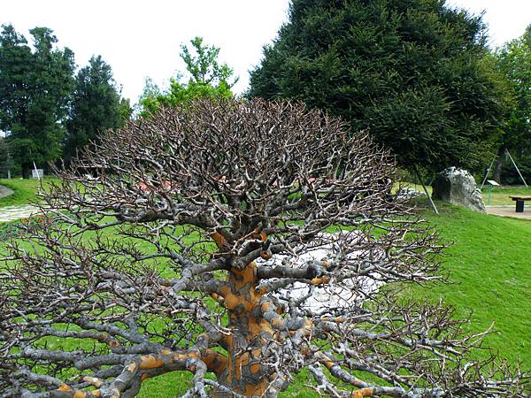 DSCF9622.JPG DSCF9622.JPG