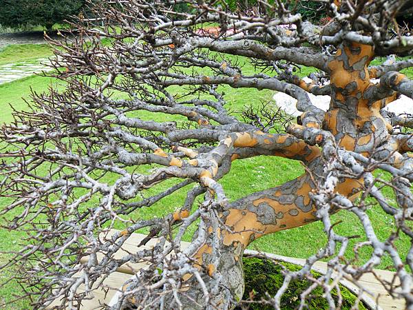 DSCF9623.JPG DSCF9623.JPG