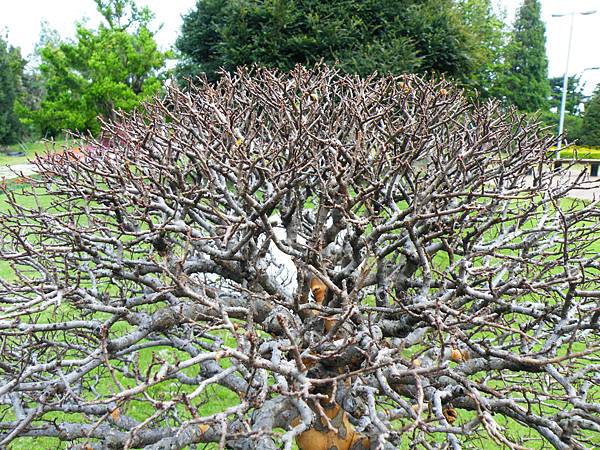 DSCF9626.JPG DSCF9626.JPG