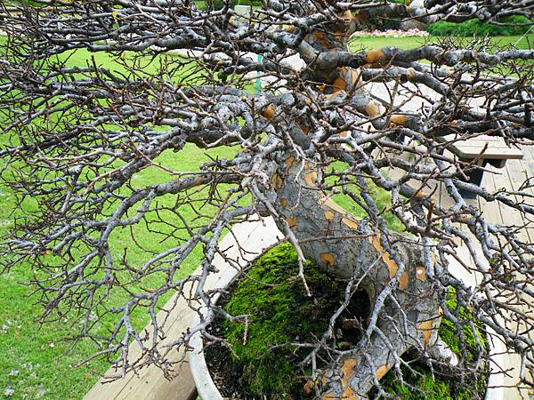 DSCF9627.JPG DSCF9627.JPG