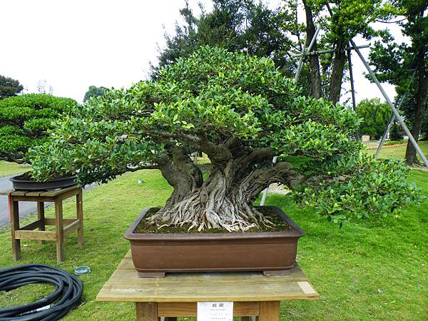 DSCF9628.JPG DSCF9628.JPG