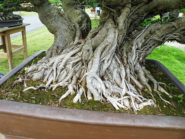 DSCF9629.JPG DSCF9629.JPG