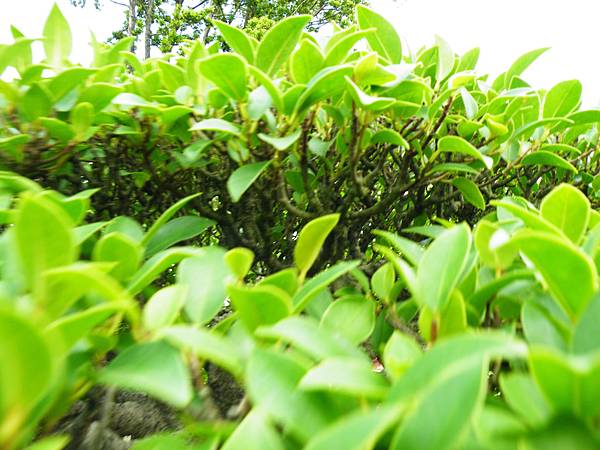 DSCF9636.JPG DSCF9636.JPG