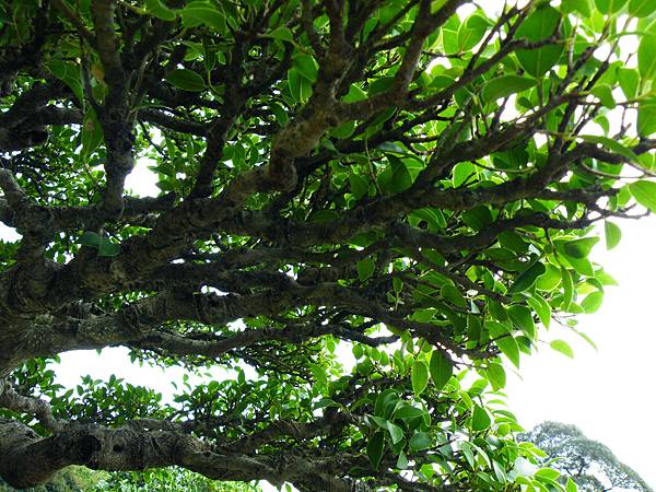 DSCF9637.JPG DSCF9637.JPG