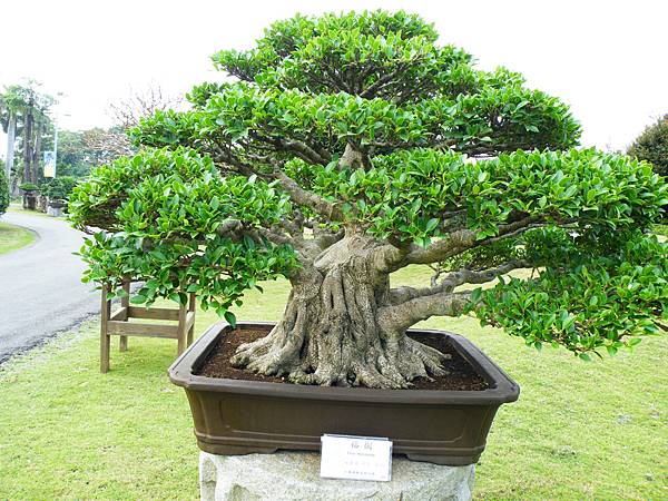 DSCF9638.JPG DSCF9638.JPG