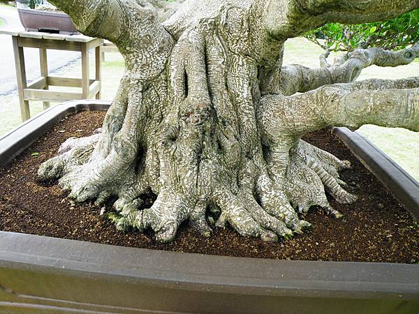 DSCF9639.JPG DSCF9639.JPG